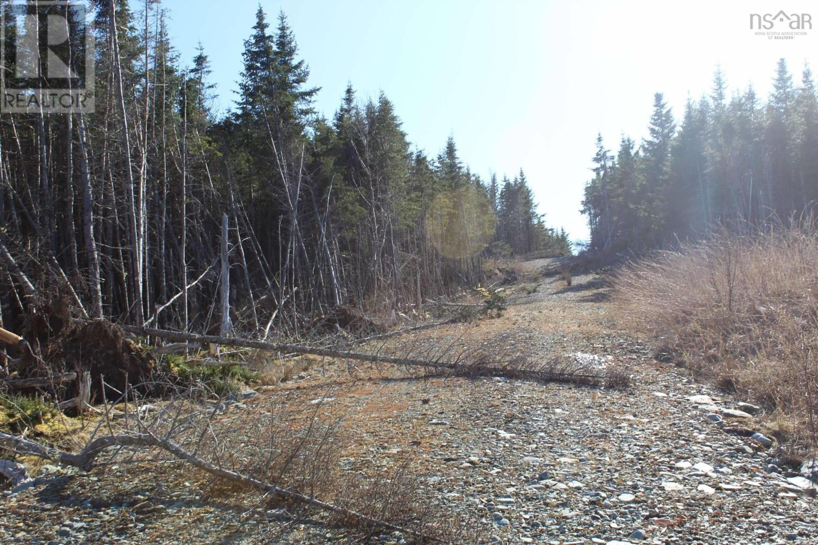 Lot 2 Bakers Road, Marie Joseph, Nova Scotia  B0J 2G0 - Photo 15 - 202509444