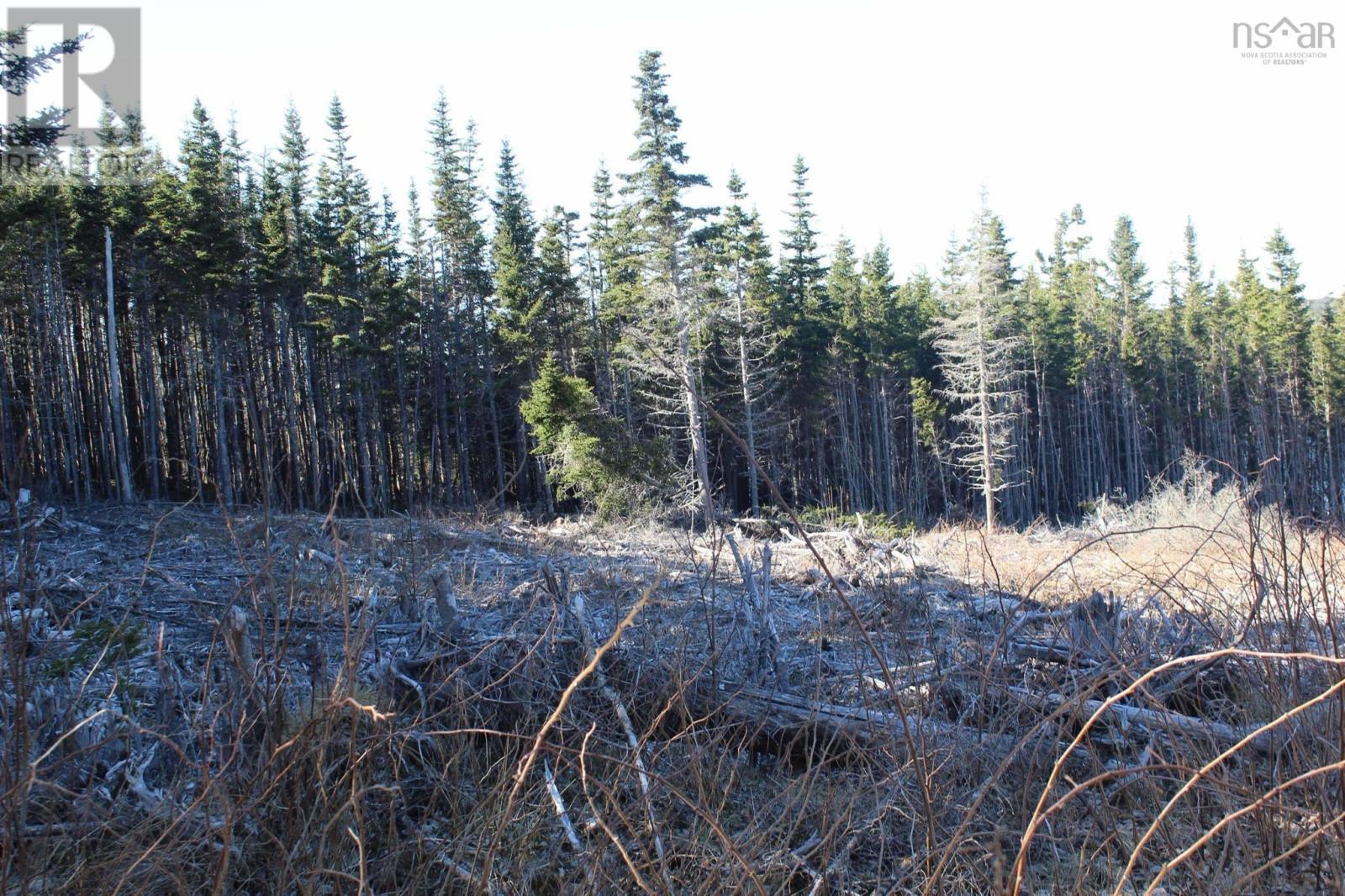 Lot 2 Bakers Road, Marie Joseph, Nova Scotia  B0J 2G0 - Photo 17 - 202509444