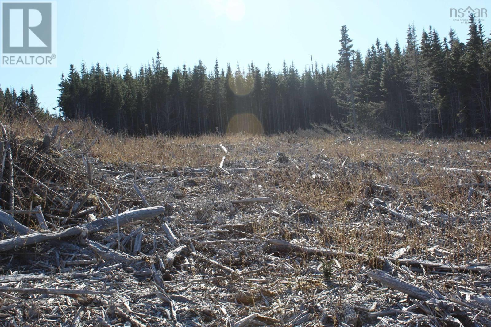 Lot 2 Bakers Road, Marie Joseph, Nova Scotia  B0J 2G0 - Photo 14 - 202509444