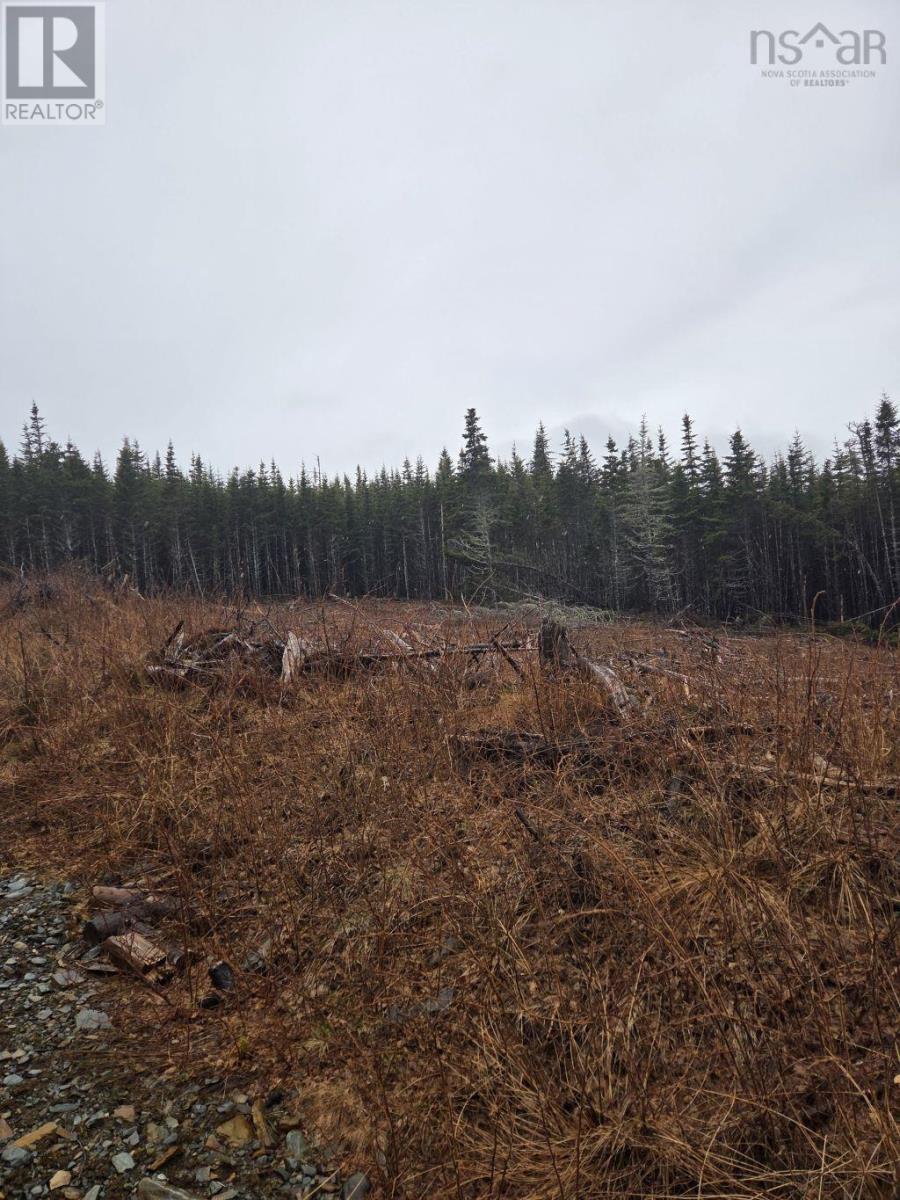 Lot 2 Bakers Road, Marie Joseph, Nova Scotia  B0J 2G0 - Photo 33 - 202509444