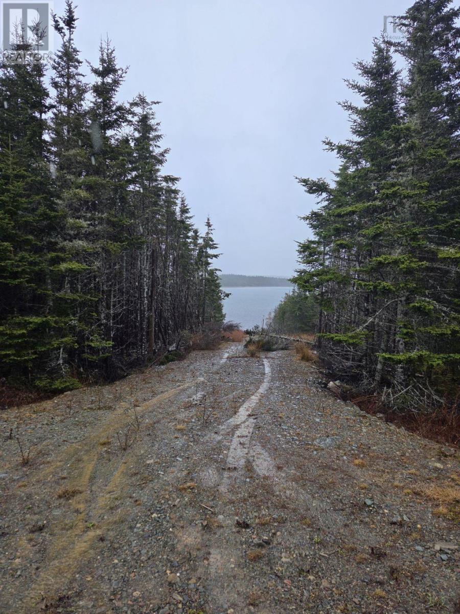 Lot 2 Bakers Road, Marie Joseph, Nova Scotia  B0J 2G0 - Photo 38 - 202509444