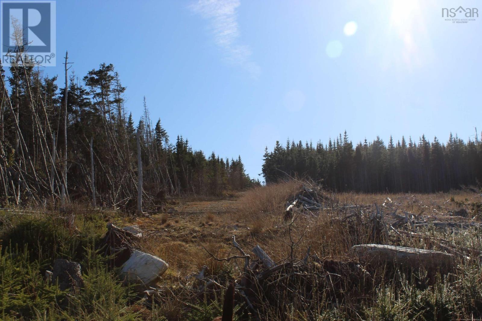 Lot 2 Bakers Road, Marie Joseph, Nova Scotia  B0J 2G0 - Photo 6 - 202509444