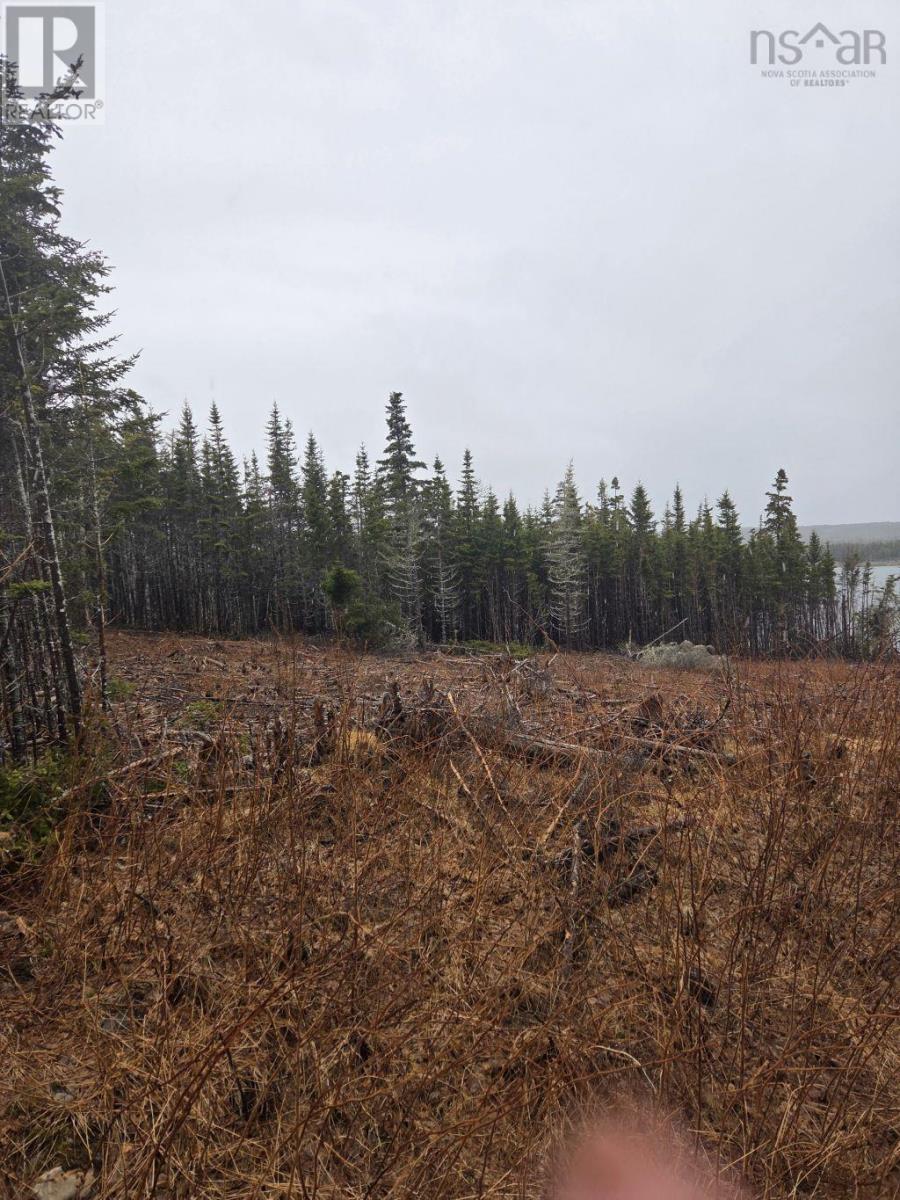 Lot 2 Bakers Road, Marie Joseph, Nova Scotia  B0J 2G0 - Photo 30 - 202509444