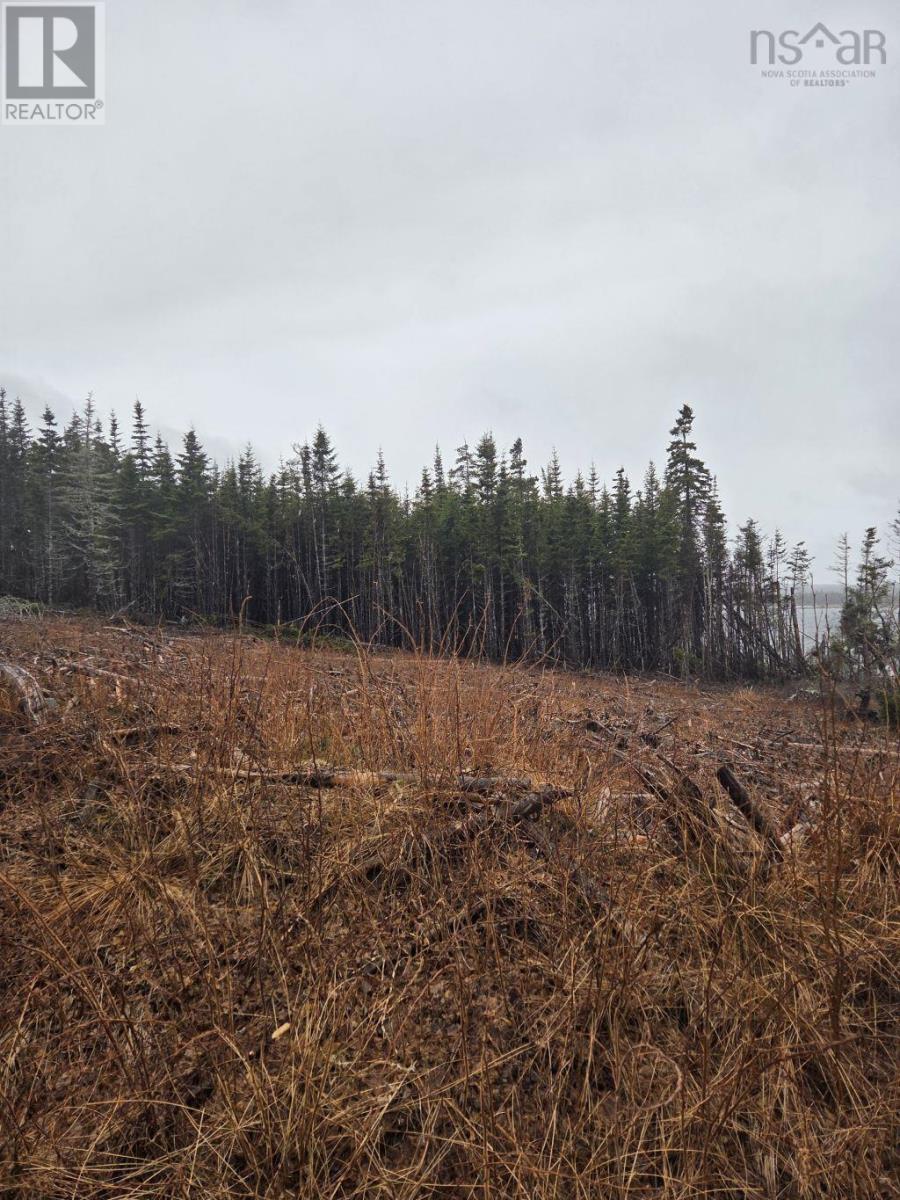 Lot 2 Bakers Road, Marie Joseph, Nova Scotia  B0J 2G0 - Photo 34 - 202509444