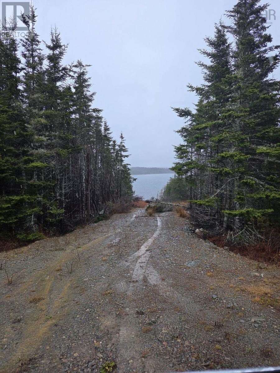 Lot 2 Bakers Road, Marie Joseph, Nova Scotia  B0J 2G0 - Photo 39 - 202509444