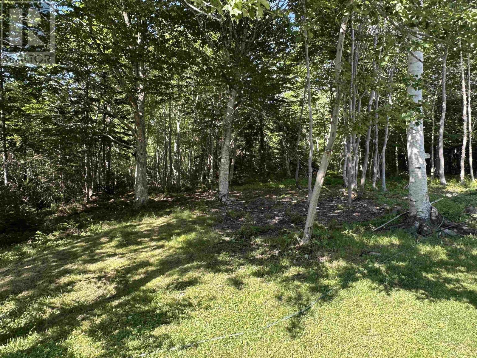 1458 Grand Mira South Road, Grand Mira South, Nova Scotia  B1K 1H2 - Photo 18 - 202517465