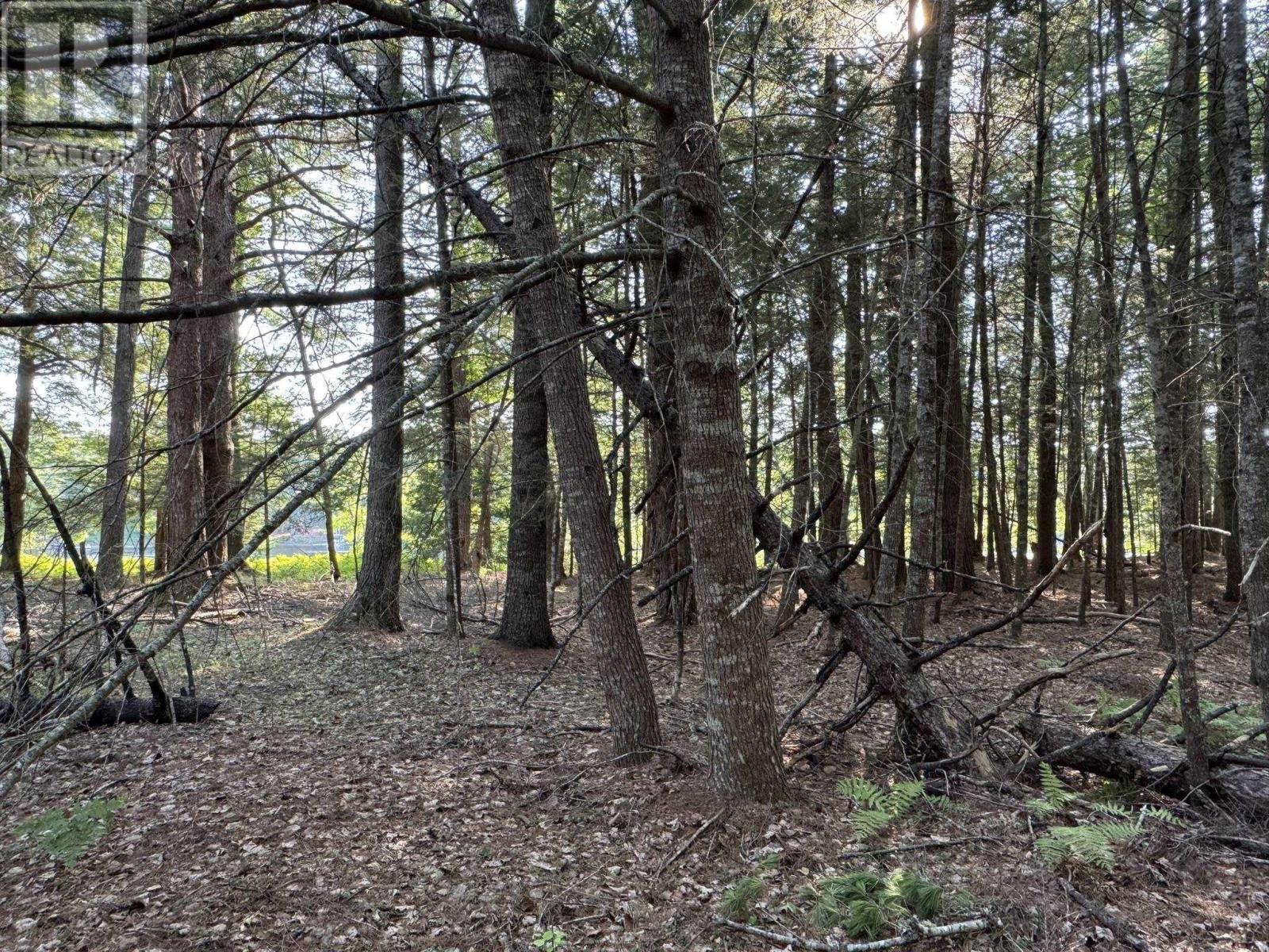 67 Jud Freeman Road, Greenfield, Nova Scotia  B0T 1E0 - Photo 38 - 202520093