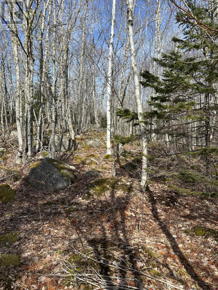 Lot 7 North River Road, Aylesford Lake, Nova Scotia  B0P 1C0 - Photo 2 - 202506890