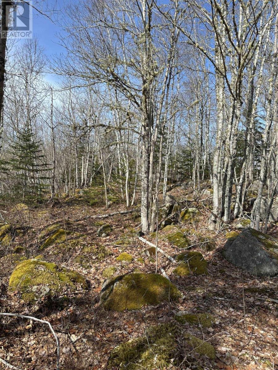Lot 7 North River Road, Aylesford Lake, Nova Scotia  B0P 1C0 - Photo 4 - 202506890
