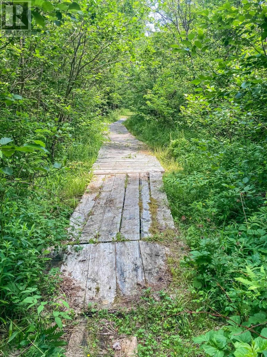 Baxters Harbour Road, Baxters Harbour, Nova Scotia  B0P 1H0 - Photo 15 - 202517355