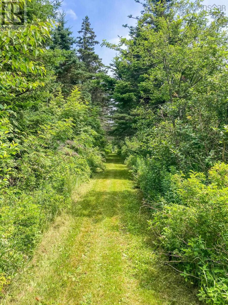 Baxters Harbour Road, Baxters Harbour, Nova Scotia  B0P 1H0 - Photo 4 - 202517355