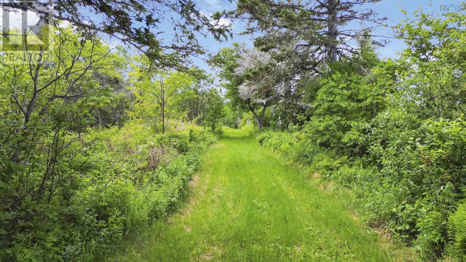 Baxters Harbour Road, Baxters Harbour, Nova Scotia  B0P 1H0 - Photo 3 - 202517355