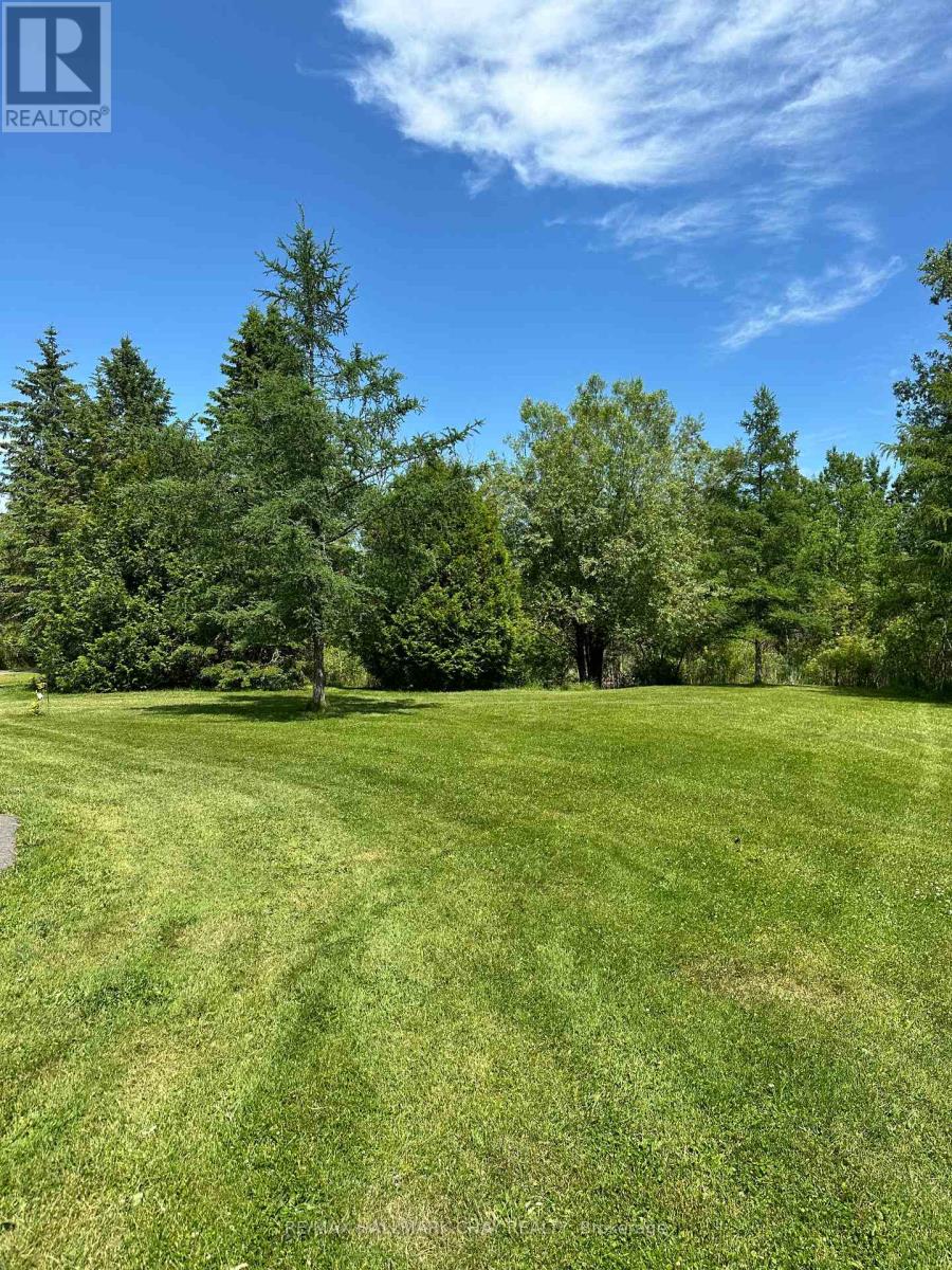 25222 Park Road, Georgina, Ontario  L0E 1R0 - Photo 40 - N12343166