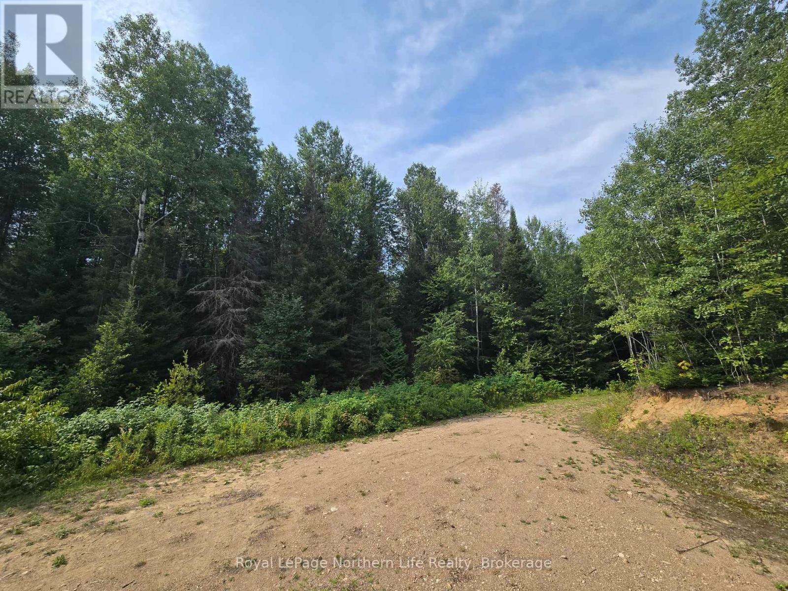 680 Mount Pleasant Road, Calvin, Ontario  P0H 2E0 - Photo 12 - X12343708
