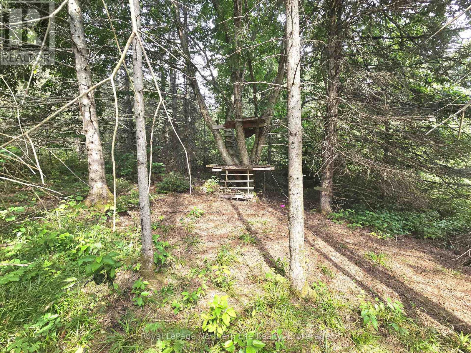 680 Mount Pleasant Road, Calvin, Ontario  P0H 2E0 - Photo 14 - X12343708