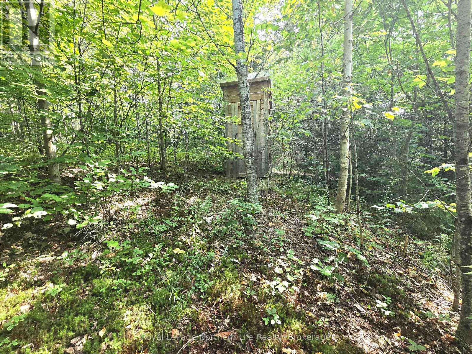 680 Mount Pleasant Road, Calvin, Ontario  P0H 2E0 - Photo 15 - X12343708