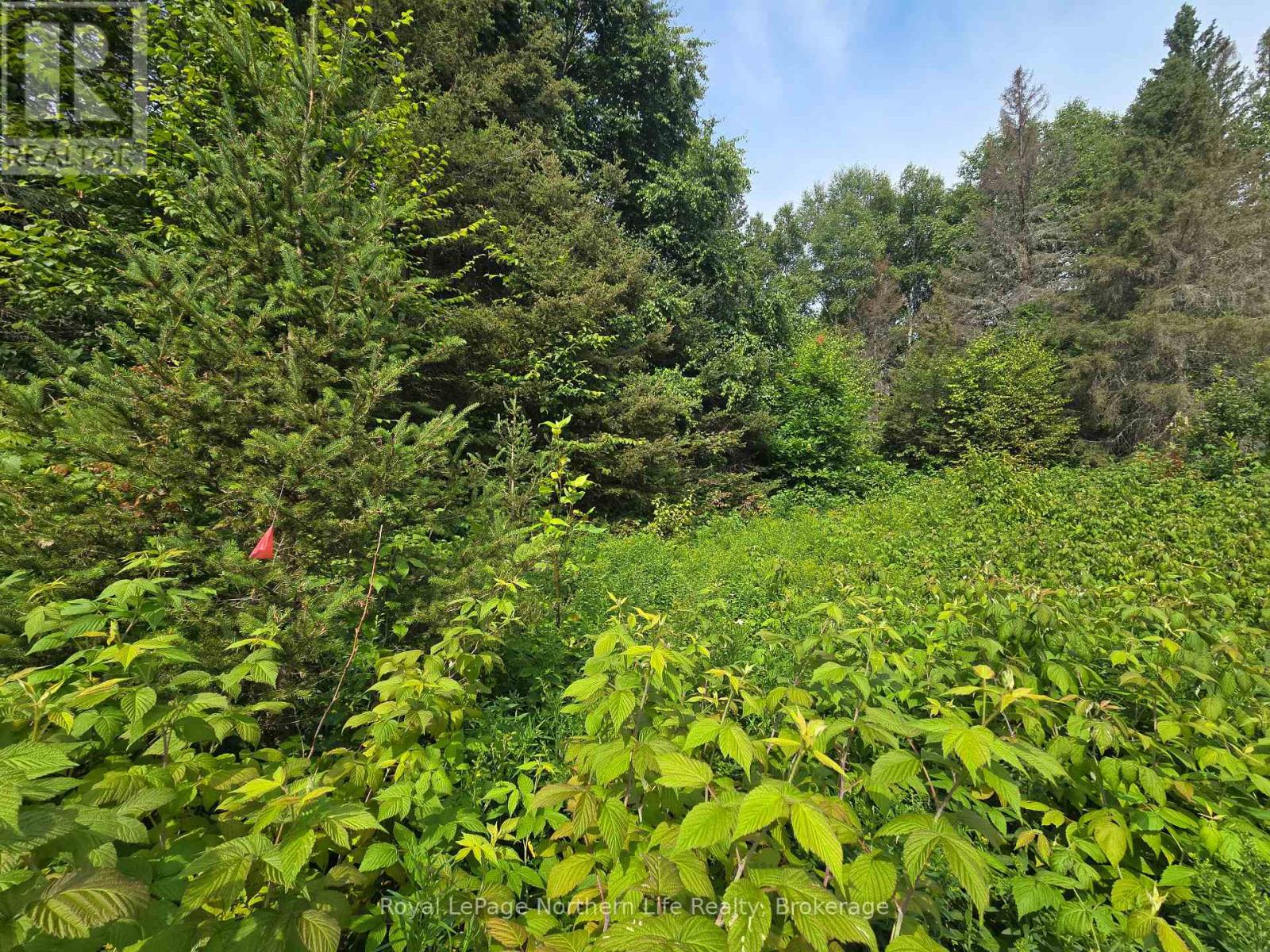 680 Mount Pleasant Road, Calvin, Ontario  P0H 2E0 - Photo 17 - X12343708