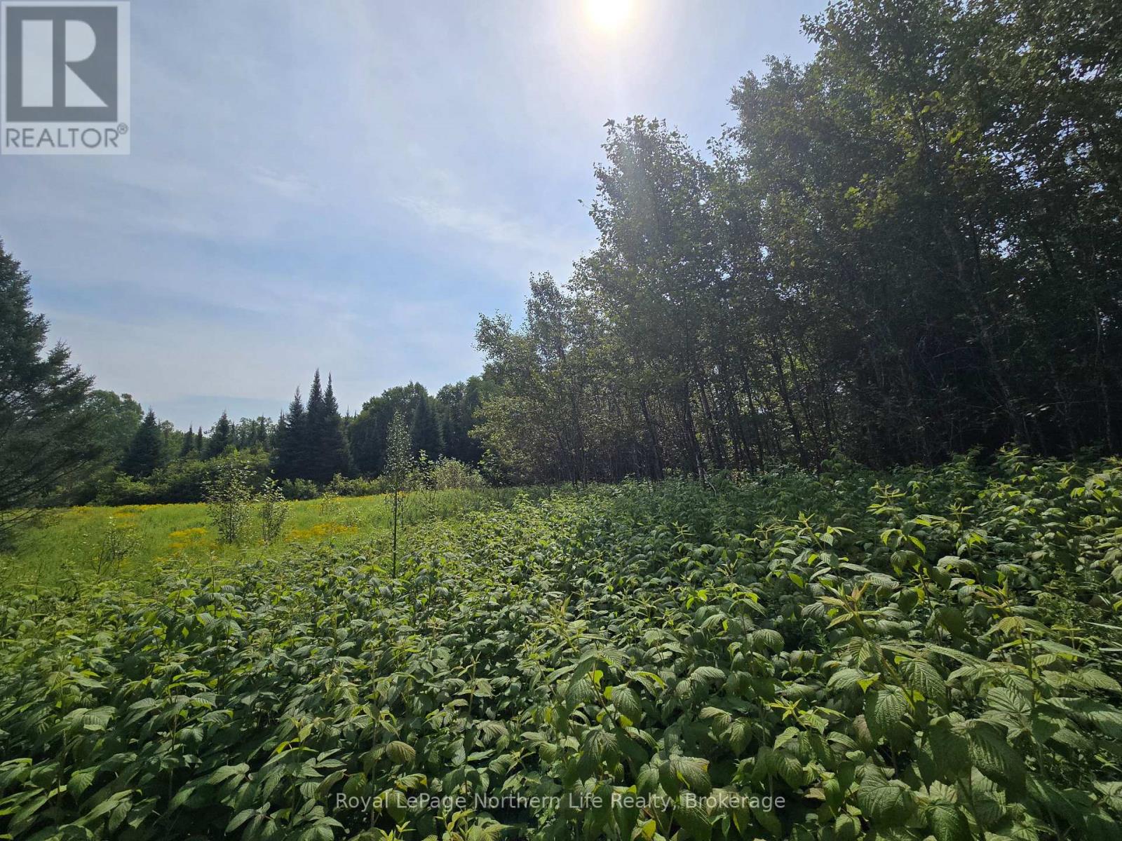 680 Mount Pleasant Road, Calvin, Ontario  P0H 2E0 - Photo 18 - X12343708