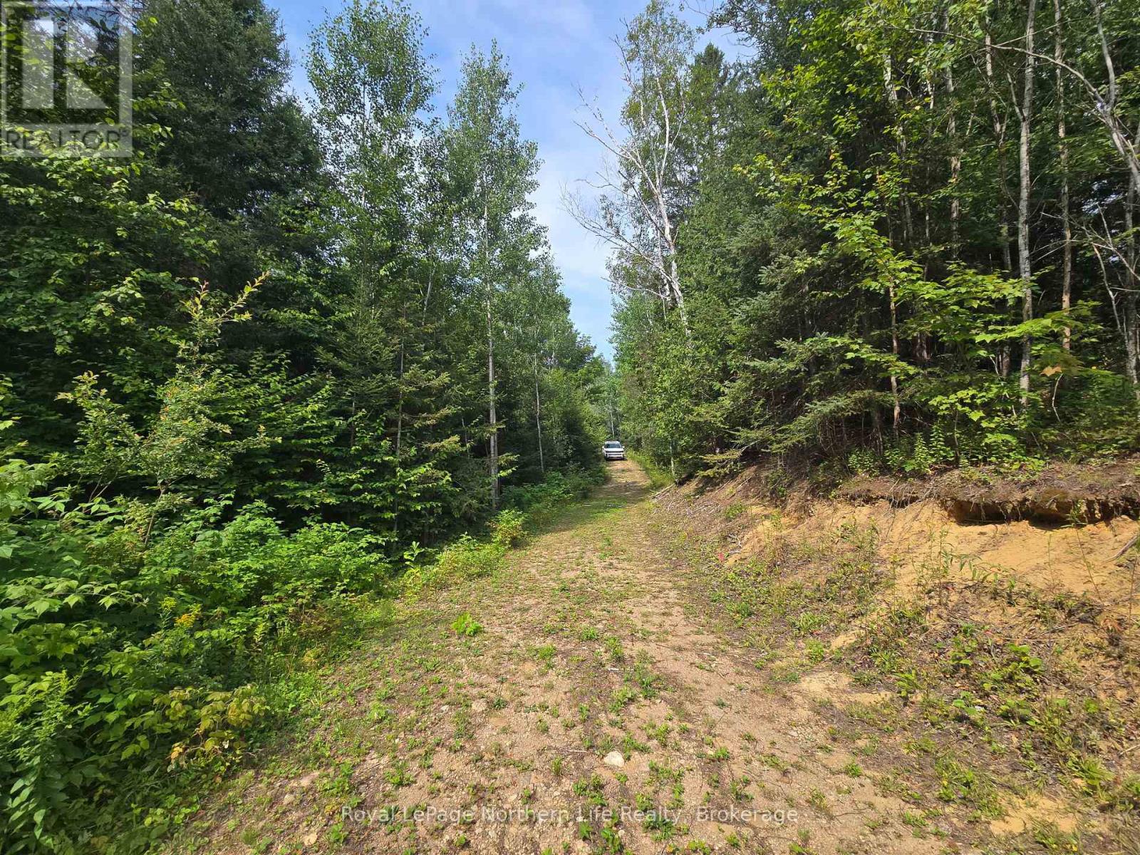 680 Mount Pleasant Road, Calvin, Ontario  P0H 2E0 - Photo 20 - X12343708