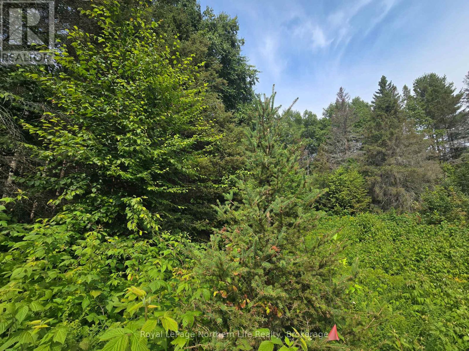 680 Mount Pleasant Road, Calvin, Ontario  P0H 2E0 - Photo 26 - X12343708