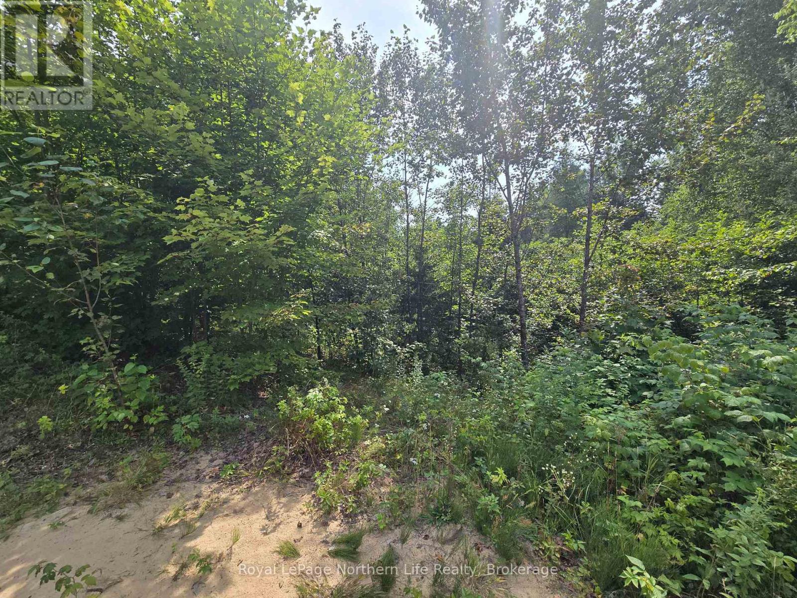 680 Mount Pleasant Road, Calvin, Ontario  P0H 2E0 - Photo 28 - X12343708