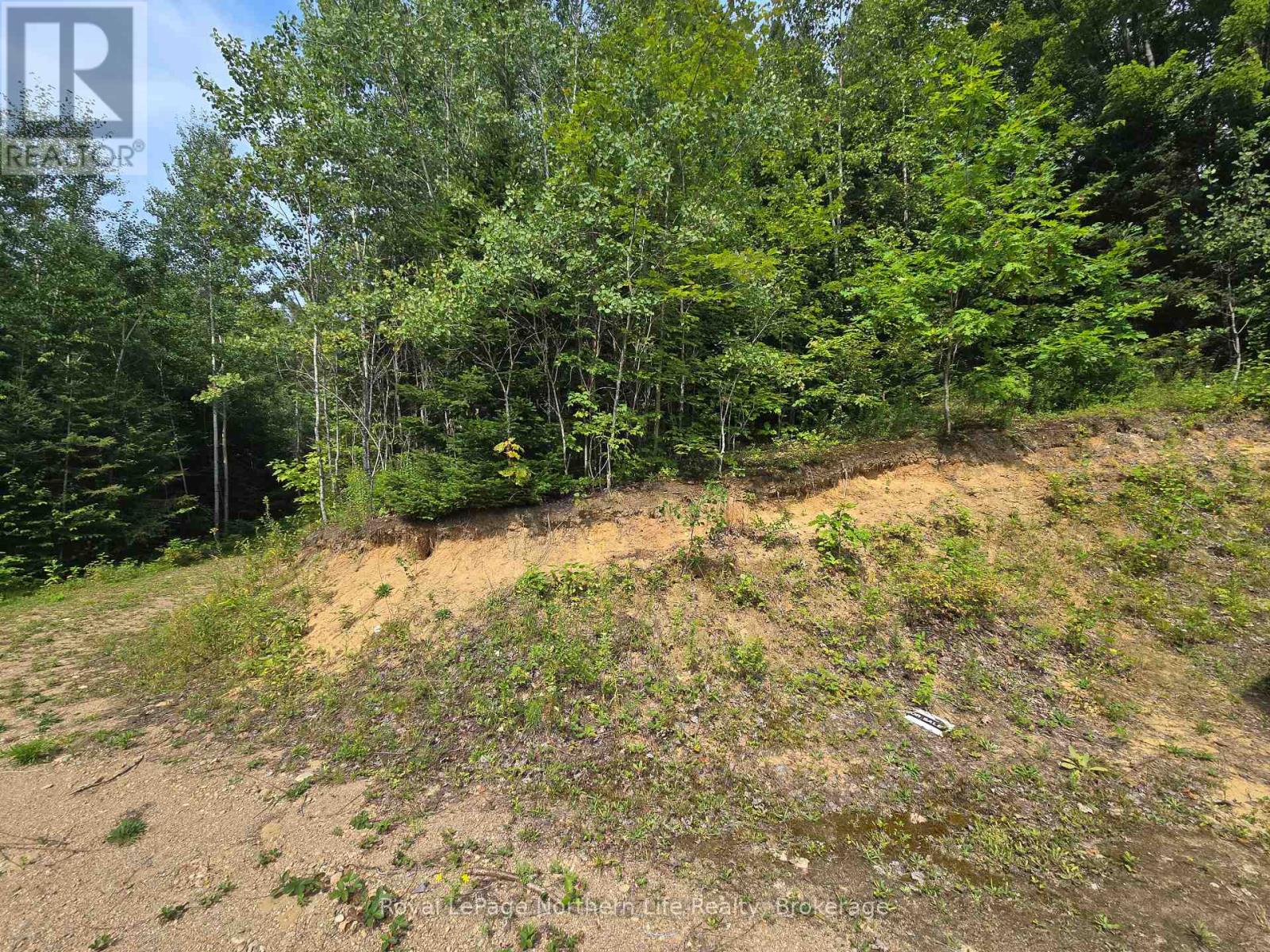 680 Mount Pleasant Road, Calvin, Ontario  P0H 2E0 - Photo 29 - X12343708