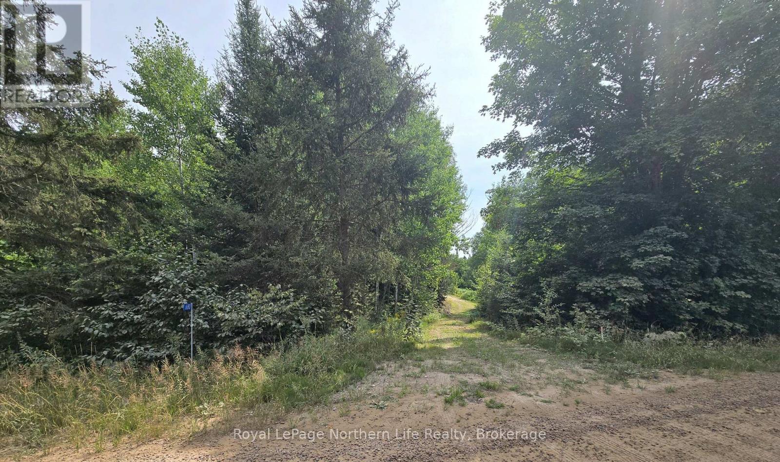 680 Mount Pleasant Road, Calvin, Ontario  P0H 2E0 - Photo 5 - X12343708