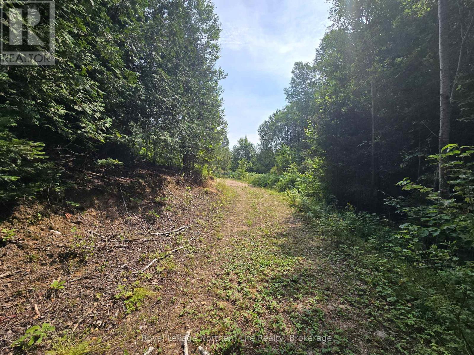 680 Mount Pleasant Road, Calvin, Ontario  P0H 2E0 - Photo 6 - X12343708