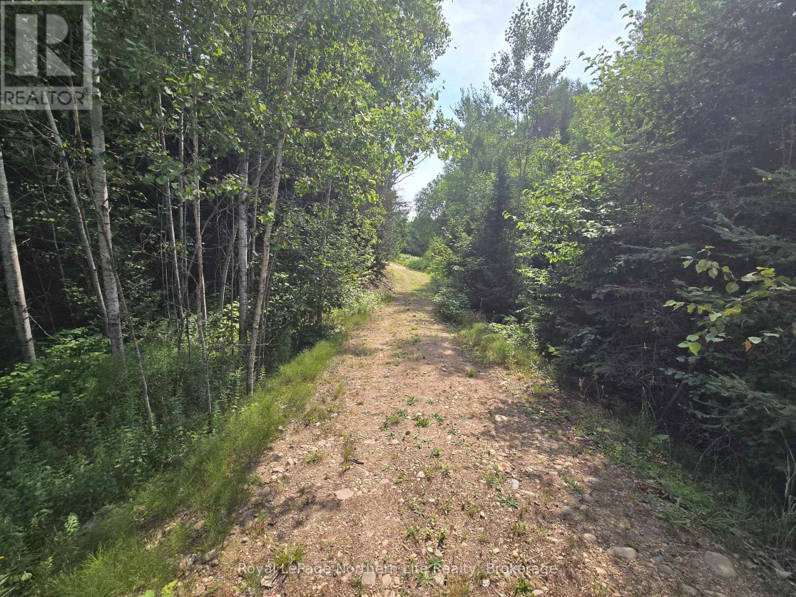 680 Mount Pleasant Road, Calvin, Ontario  P0H 2E0 - Photo 7 - X12343708