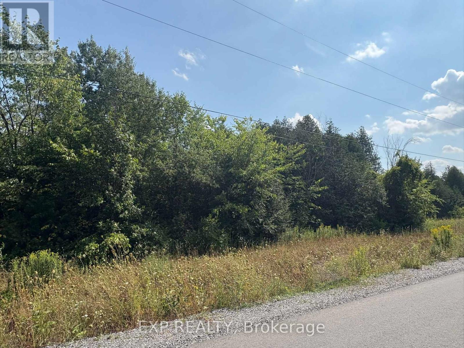 6248 Nick Adams Road, Ottawa, Ontario  K4P 1H2 - Photo 4 - X12342870