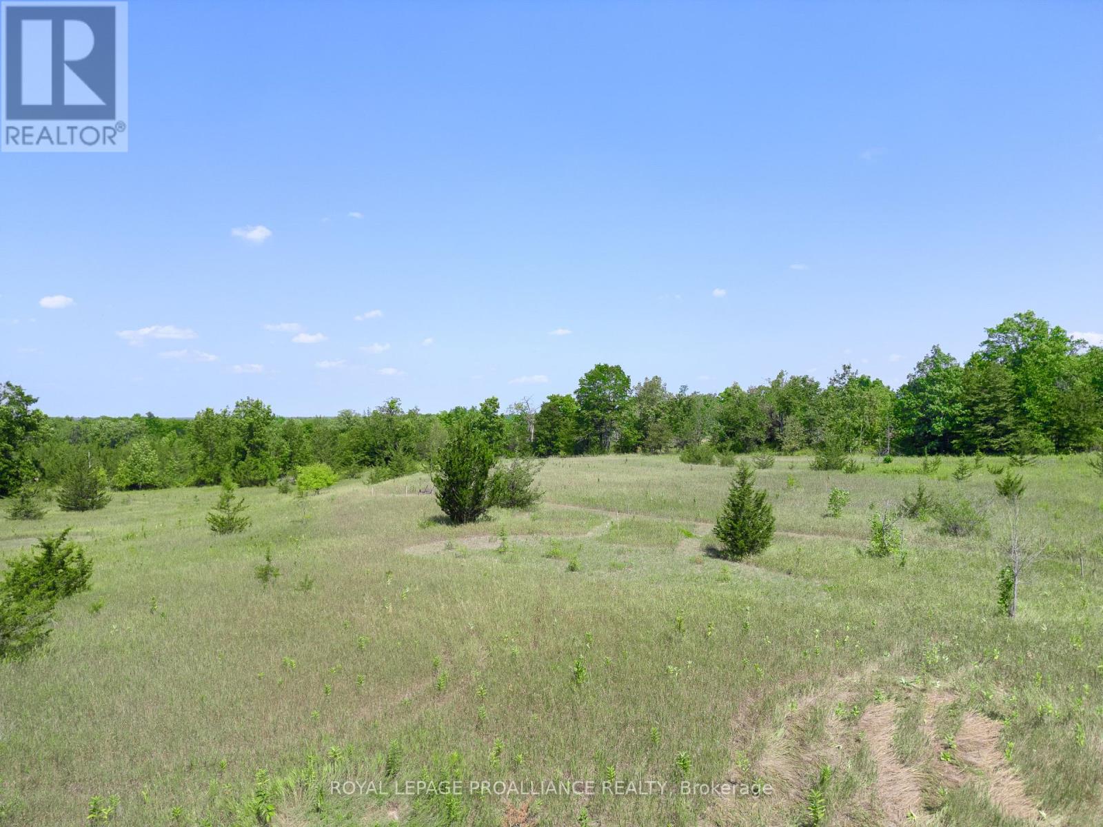 878 Harold Road, Stirling-Rawdon, Ontario  K0K 3E0 - Photo 14 - X12343881
