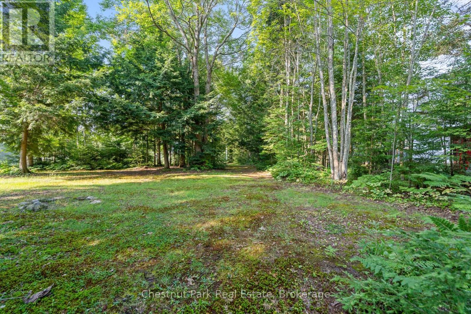 1025 Moe's Road, Bracebridge, Ontario  P1L 1X3 - Photo 13 - X12343742
