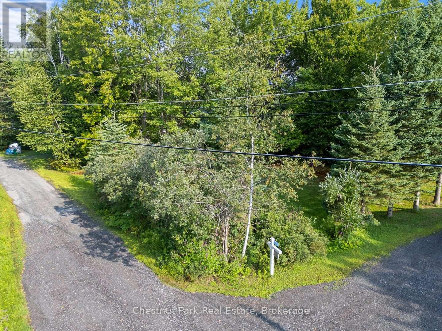 1025 Moe's Road, Bracebridge, Ontario  P1L 1X3 - Photo 14 - X12343742