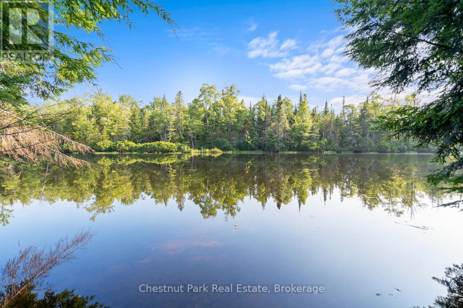 1025 Moe's Road, Bracebridge, Ontario  P1L 1X3 - Photo 7 - X12343742