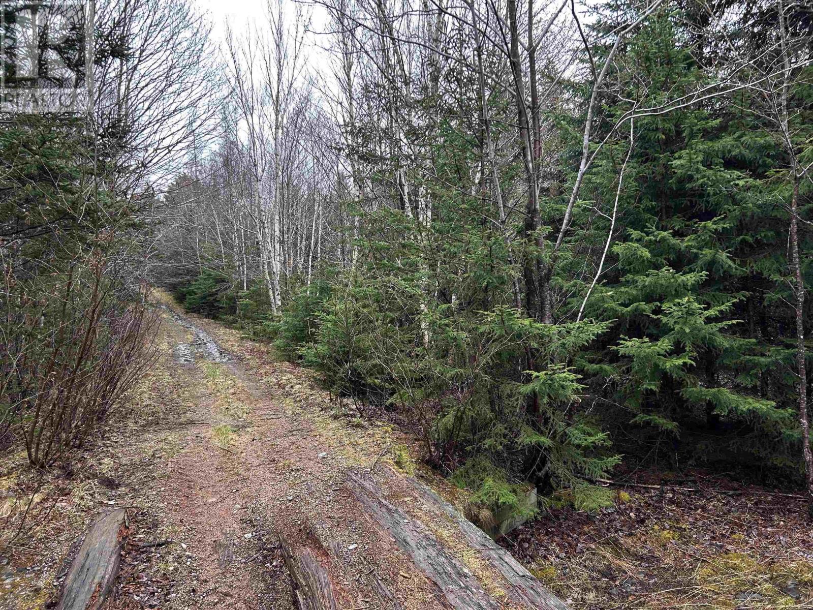 8960 Highway 101, Brighton, Nova Scotia  B0V 1A0 - Photo 10 - 202516830