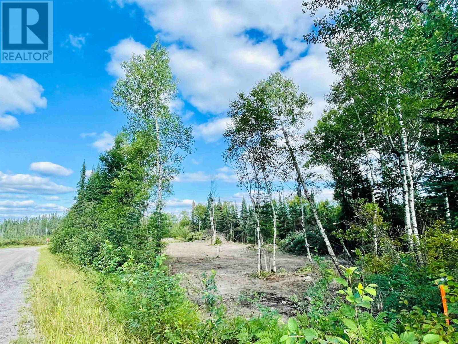 Villeneuve Rd Ne, Kenora, Ontario  P9N 0B9 - Photo 13 - TB252388