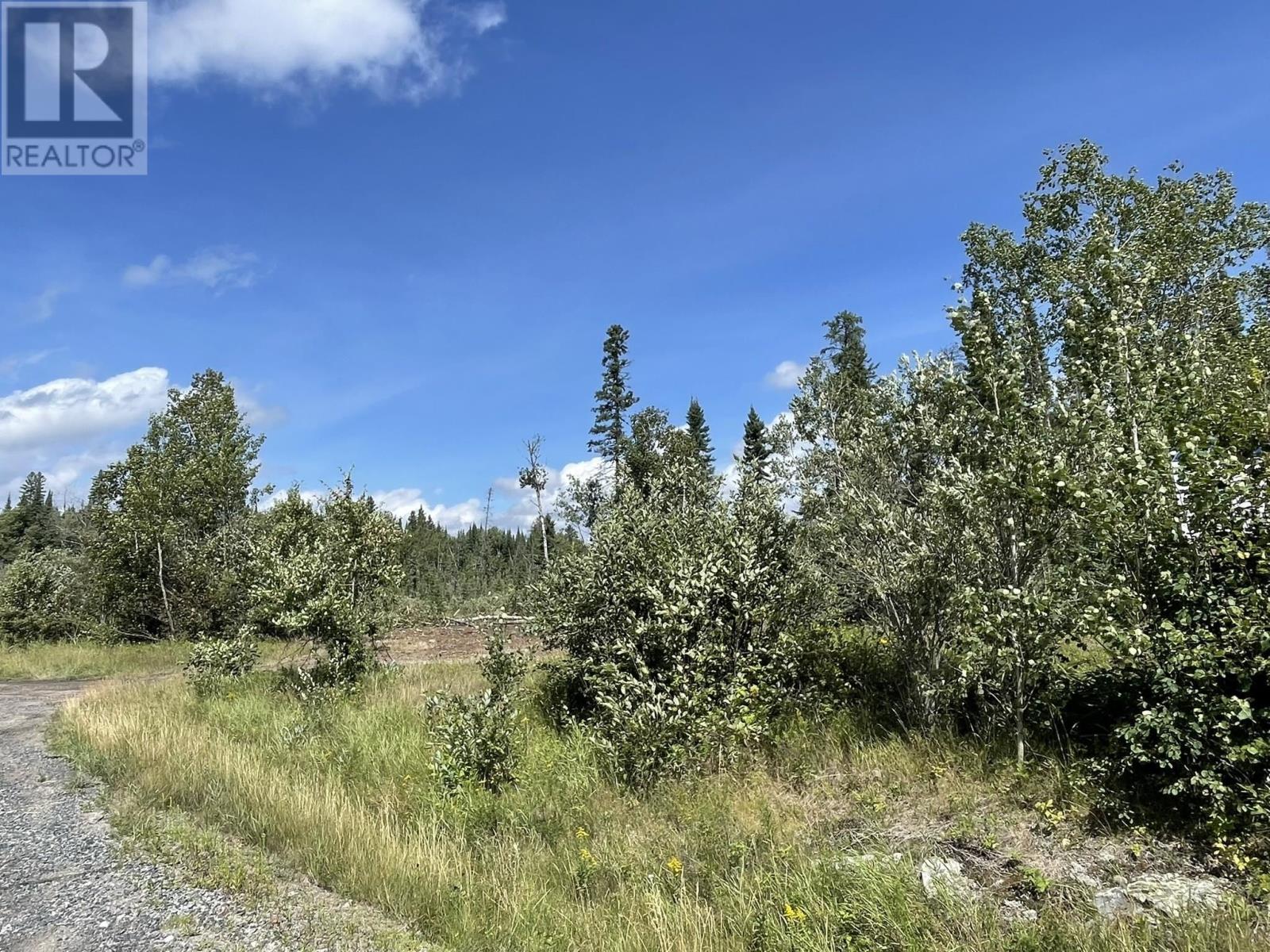 Villeneuve Rd Ne, Kenora, Ontario  P9N 0B9 - Photo 5 - TB252388