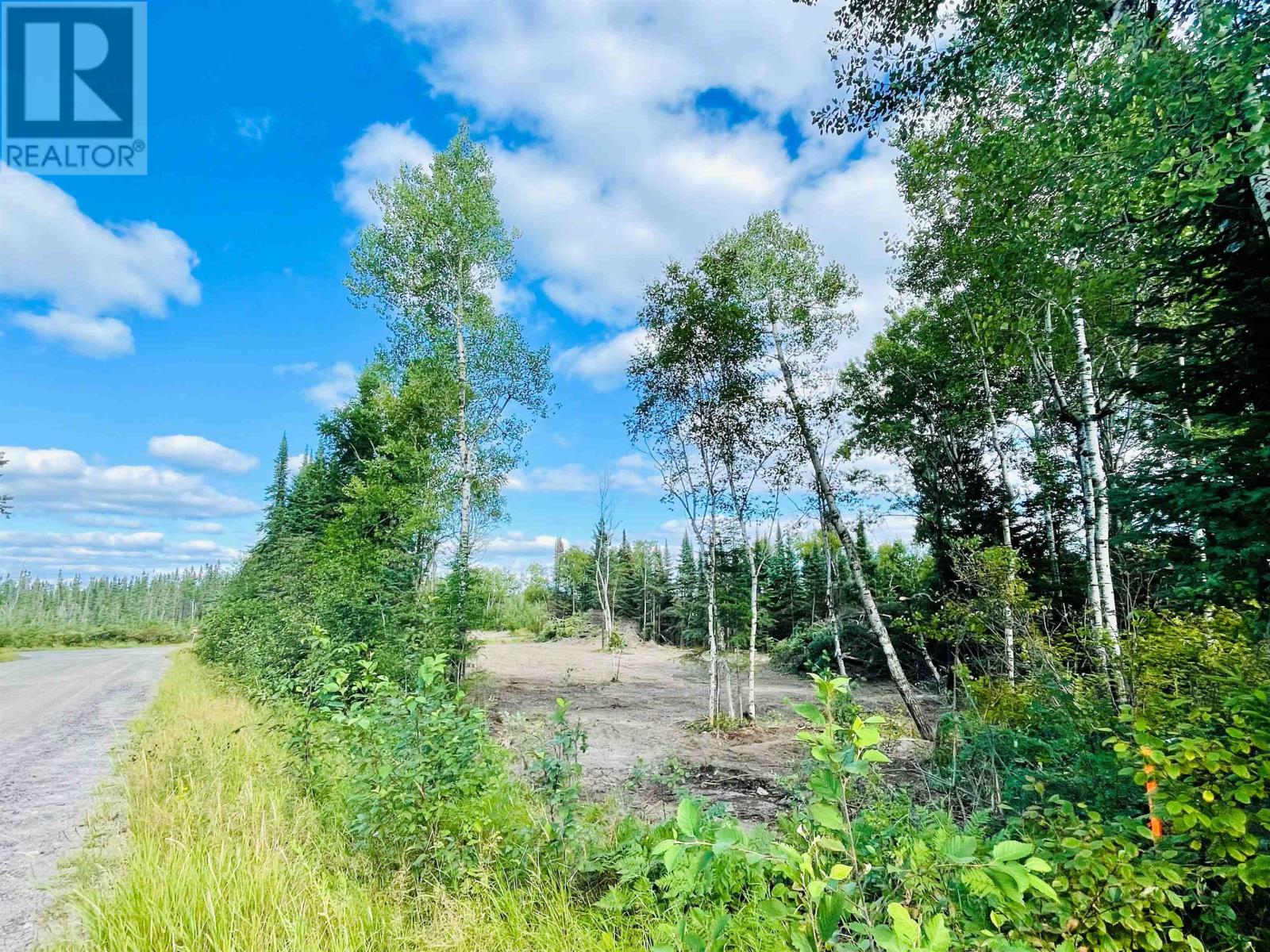 Villeneuve Rd Ne, Kenora, Ontario  P9N 0B9 - Photo 14 - TB252388