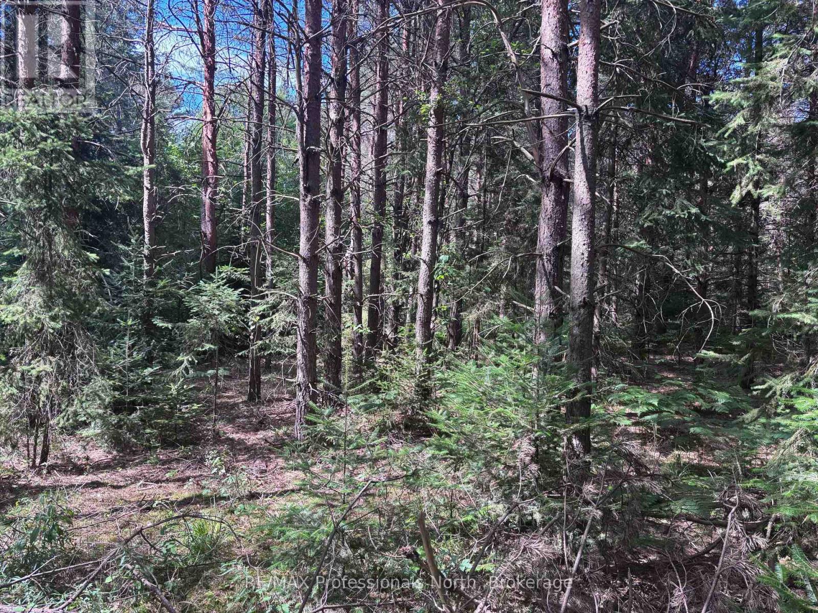 0 Barry Line Road, Algonquin Highlands (Stanhope), Ontario  K0M 1S0 - Photo 4 - X12343948