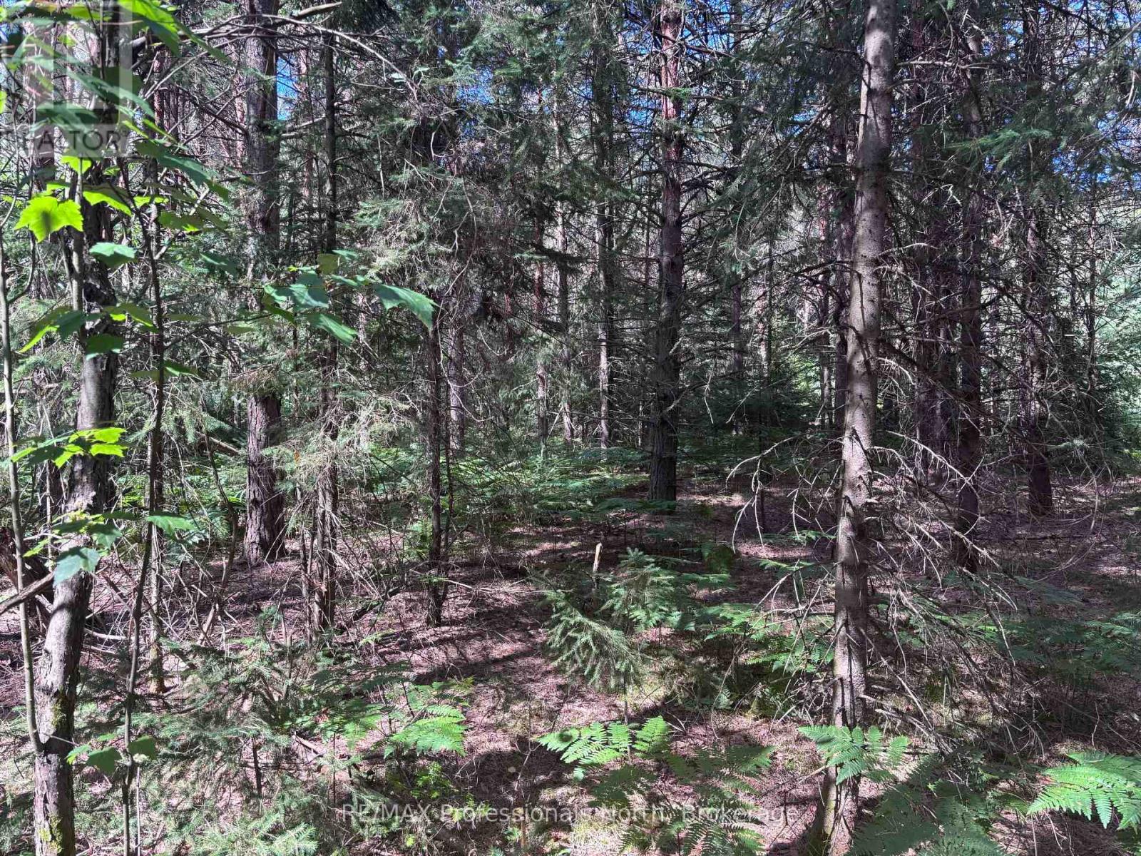 0 Barry Line Road, Algonquin Highlands (Stanhope), Ontario  K0M 1S0 - Photo 5 - X12343948