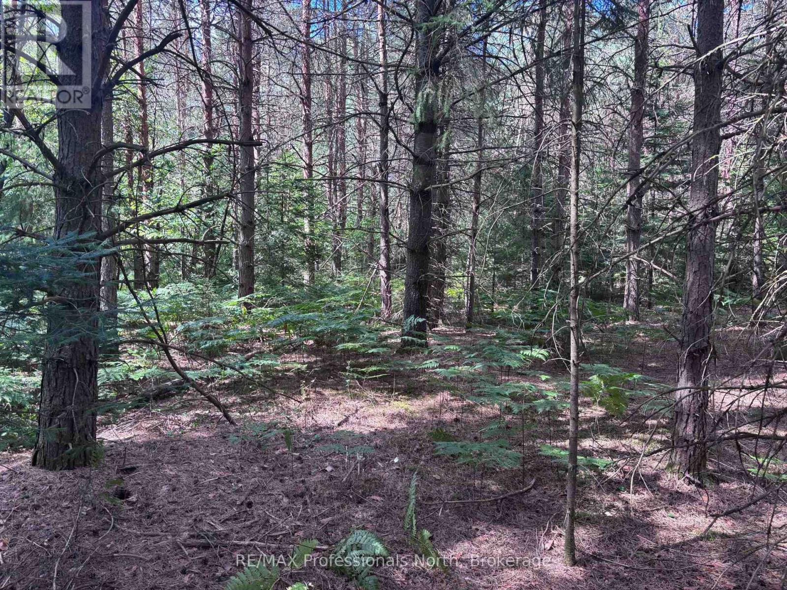 0 Barry Line Road, Algonquin Highlands (Stanhope), Ontario  K0M 1S0 - Photo 6 - X12343948