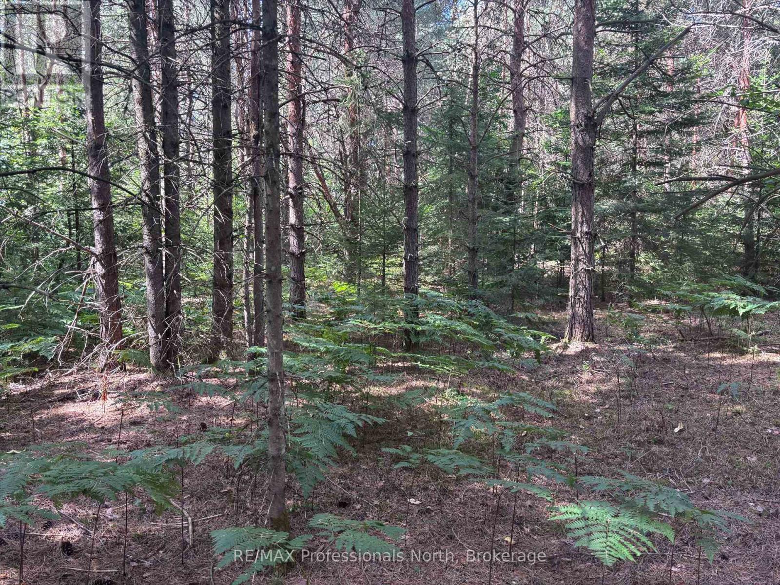 0 Barry Line Road, Algonquin Highlands (Stanhope), Ontario  K0M 1S0 - Photo 7 - X12343948