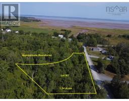 Lot M1 Lake Road-14;, Noel, Ca