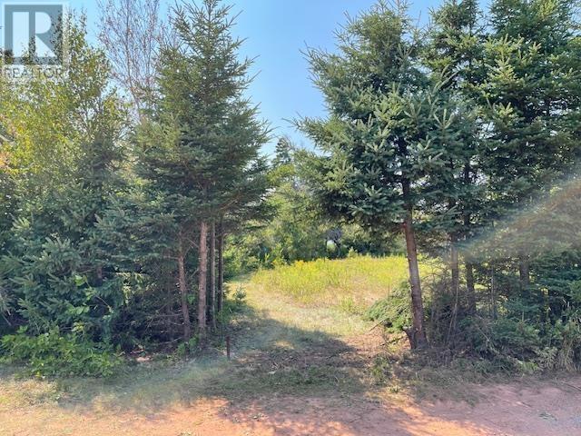 154 Charlottes Shore Lane, Tracadie Cross, Prince Edward Island  C0A 1T0 - Photo 31 - 202520562