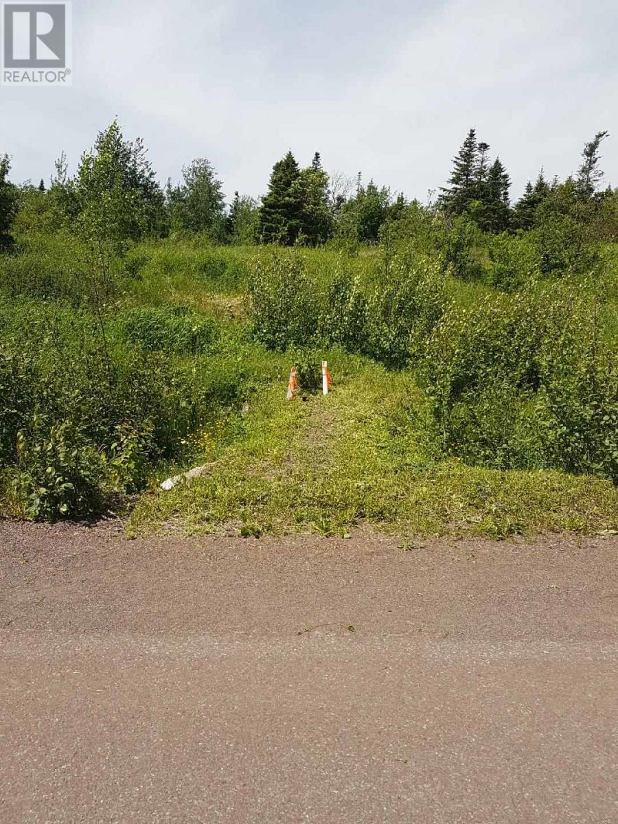 107 Main Street, Point Of Bay, Newfoundland & Labrador  A0H 2A0 - Photo 3 - 1287559