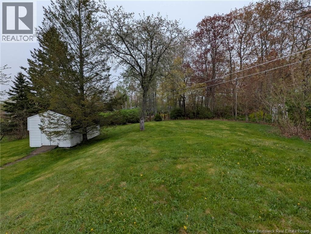 146 Court Street, Riverview, New Brunswick  E1B 1L7 - Photo 39 - NB118809