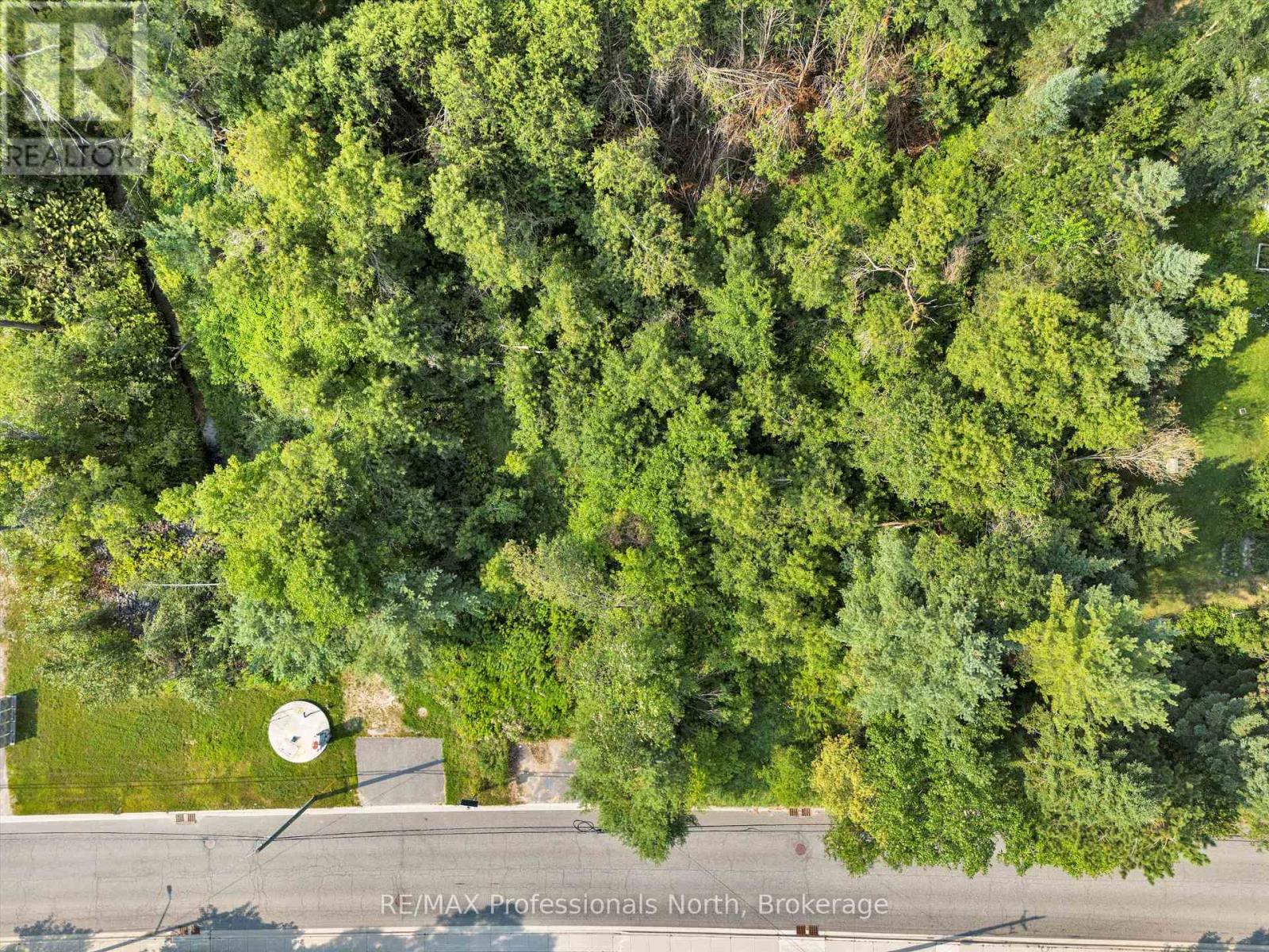 148 Muskoka Road, Bracebridge, Ontario  P1H 1L6 - Photo 3 - X12344154