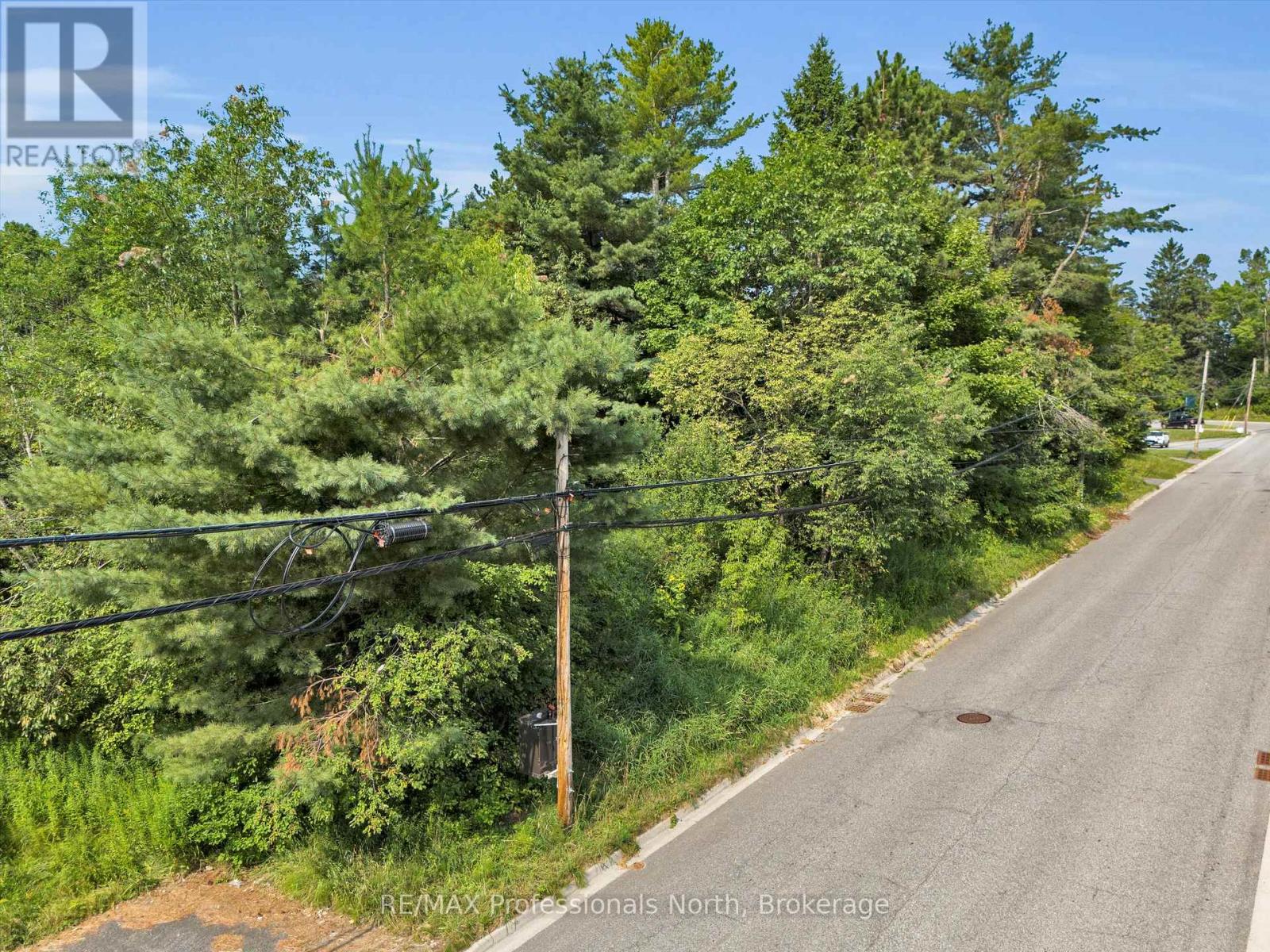 148 Muskoka Road, Bracebridge, Ontario  P1H 1L6 - Photo 4 - X12344154