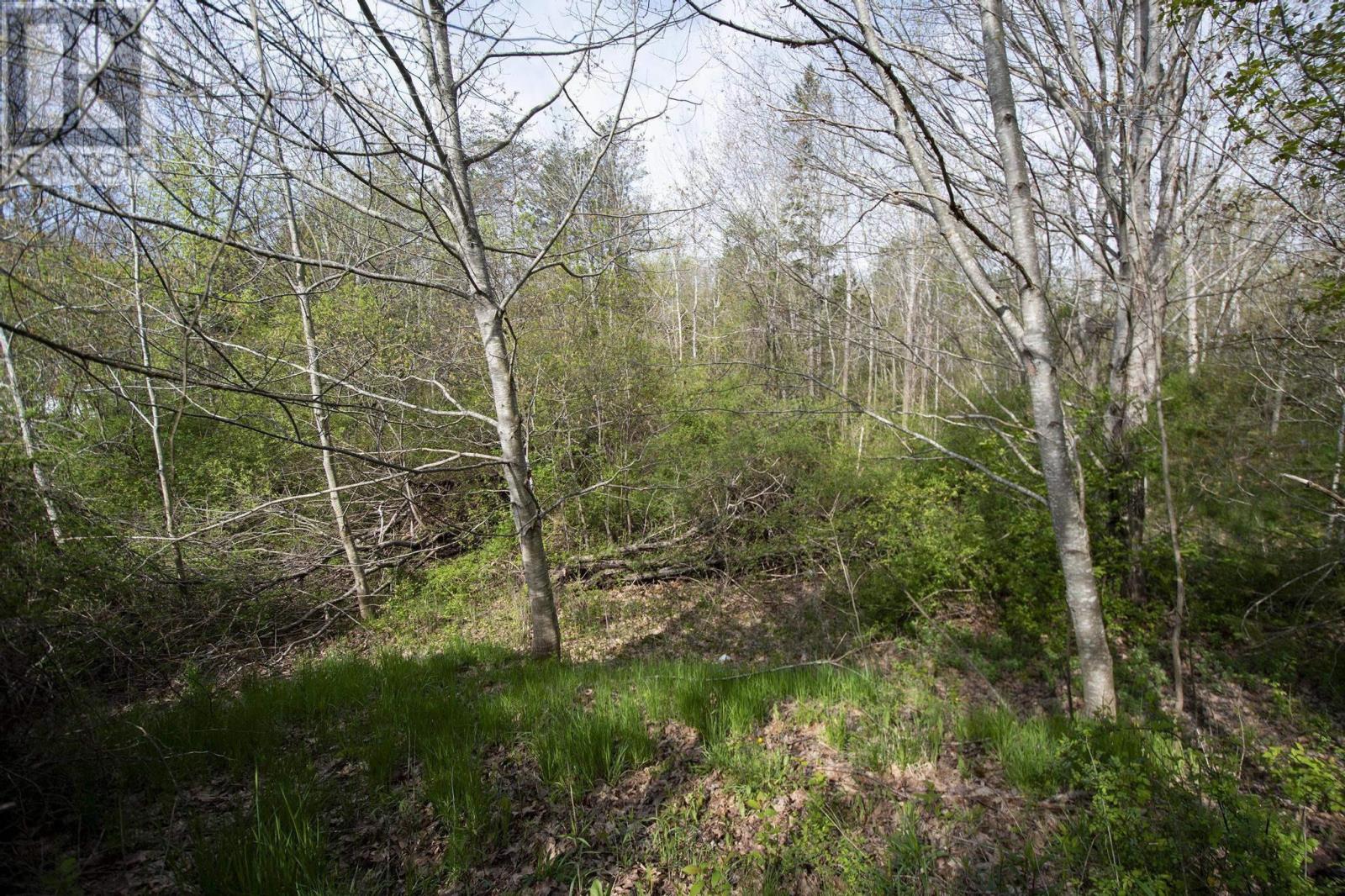 Lots Lawrencetown Lane, Lawrencetown, Nova Scotia  B0S 1M0 - Photo 17 - 202510915