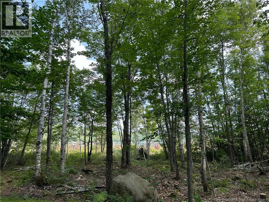 0 Second Eel River Lane, Eel River Lake, New Brunswick  E6H 0A4 - Photo 13 - NB110467